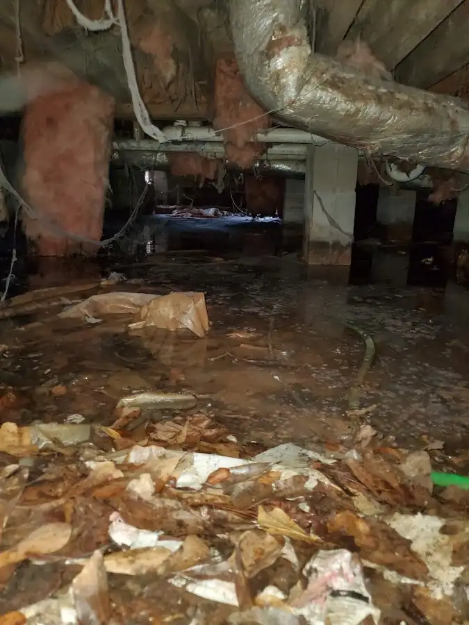 Crawl space flood assessment for Leak Detection & Repair in Woodstock